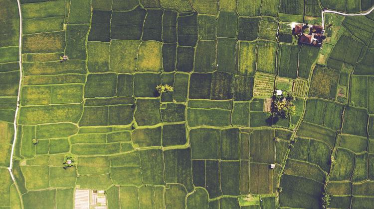 Plots of farmland from above