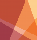 SSN logo