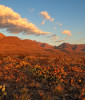 El Paso desert
